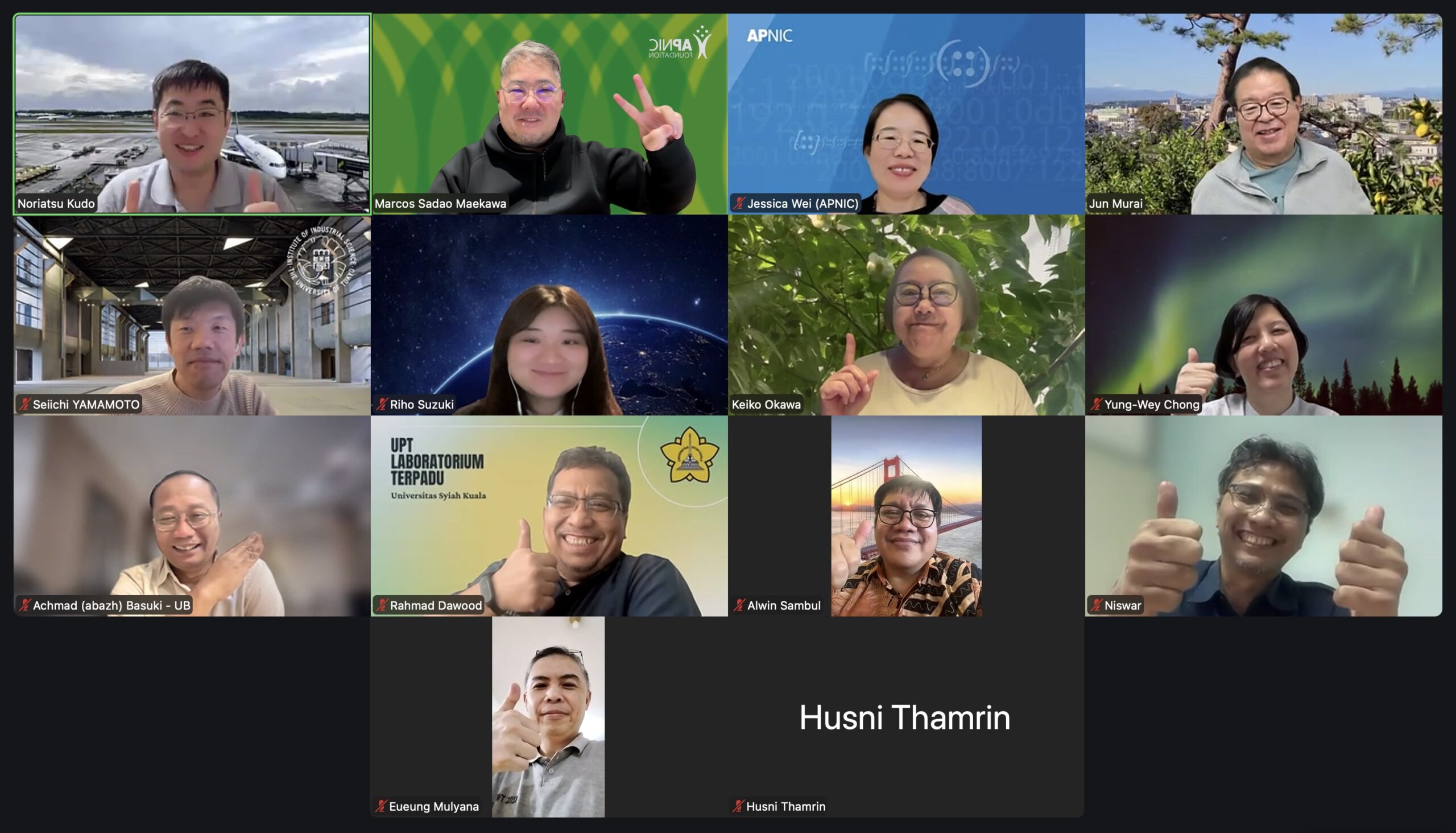 APIE Advisory and Curriculum Committees: Reflections on the Next Phase