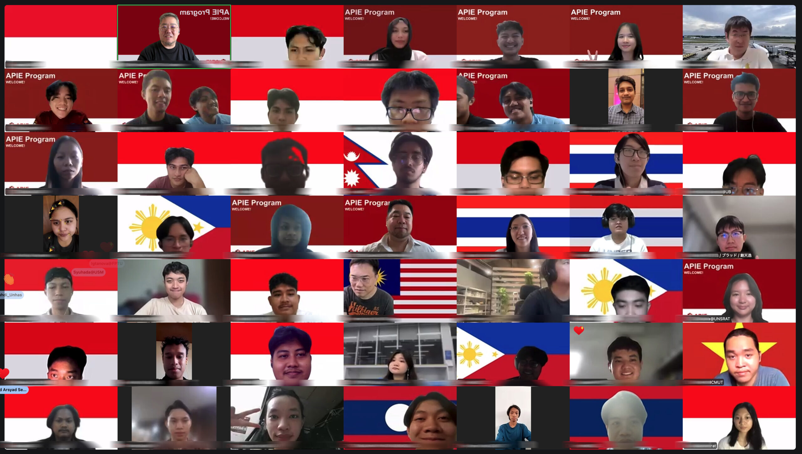 APIE Batch 8 Concludes with Alumni-Led e-Workshop Session